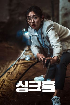 Sinkhole's poster