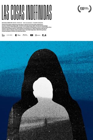Undefined Things's poster