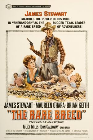 The Rare Breed's poster