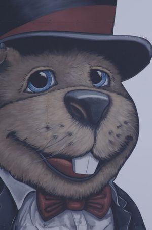 Groundhog Town's poster