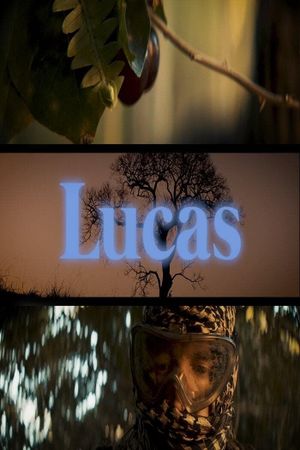 Lucas's poster