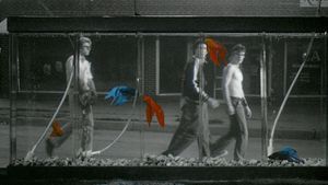 Rumble Fish's poster