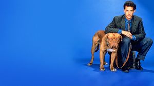 Turner & Hooch's poster