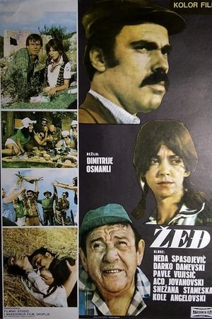 Zedj's poster