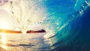 O Rei de Pipeline's poster