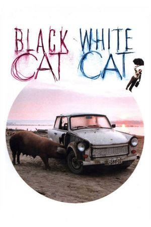 Black Cat, White Cat's poster