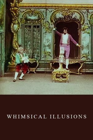 Whimsical Illusions's poster