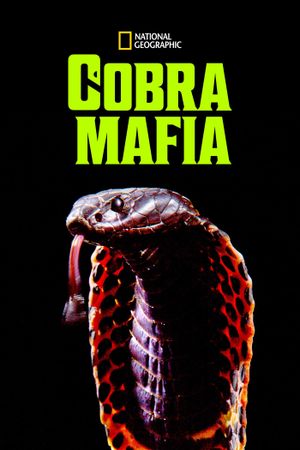 Cobra Mafia's poster
