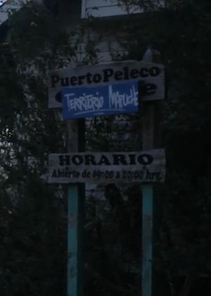 Peleco Port's poster