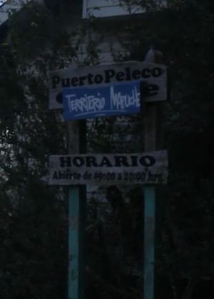 Puerto Peleco's poster