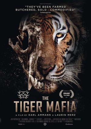 The Tiger Mafia's poster