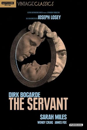 The Servant's poster