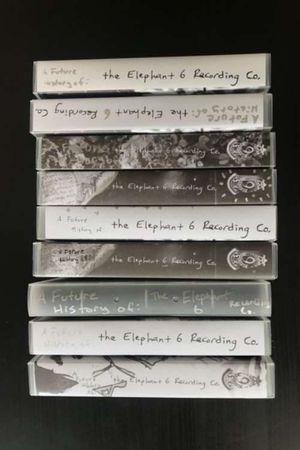 The Elephant 6 Recording Co.'s poster