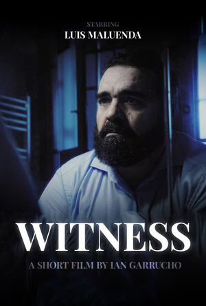 Witness's poster