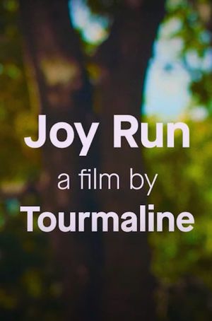 Joy Run's poster image