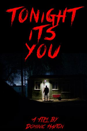 Tonight It's You's poster