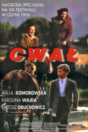 Cwal's poster