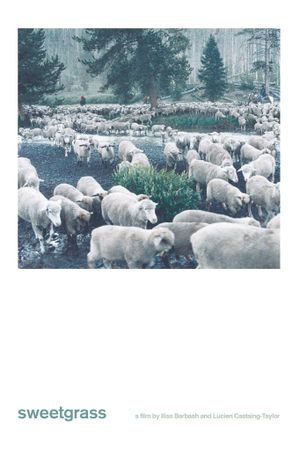 Sweetgrass's poster