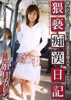 Chikan Diary Obscenity's poster