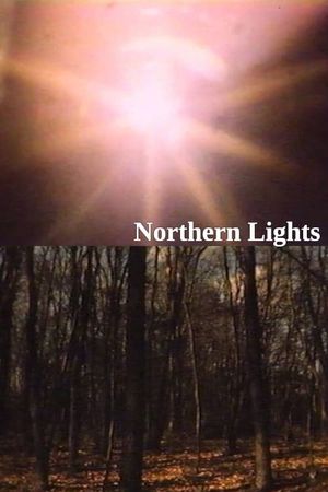 Northern Lights's poster