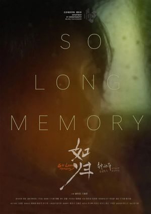 So Long Memory's poster