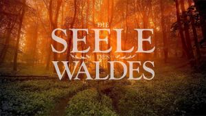 Die Seele des Waldes's poster