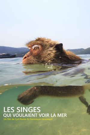 Les singes qui voulaient voir la mer's poster