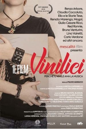 Vinilici's poster