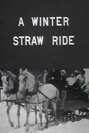 A Winter Straw Ride's poster
