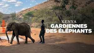 Kenya - Gardiennes des éléphants's poster