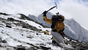 Alpinist - Confession of a Cameraman's poster