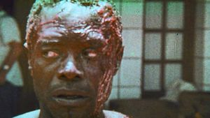 Africa: Blood and Guts's poster