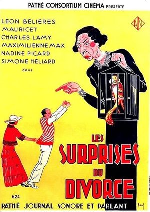 Divorce Surprises's poster