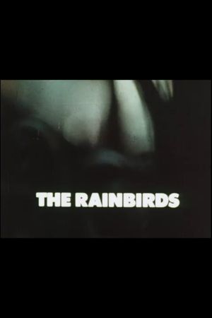 The Rainbirds's poster