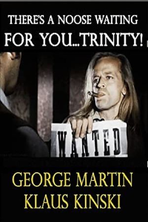A Noose Is Waiting for You Trinity's poster