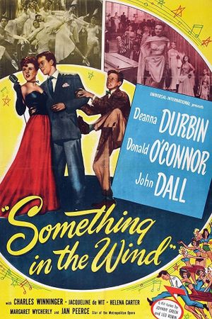Something in the Wind's poster image