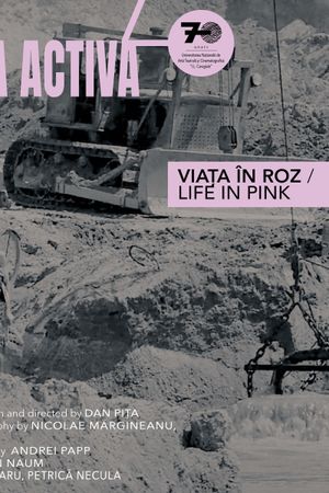 Life in Pink's poster