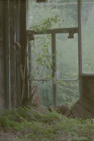 Ocean Falls's poster
