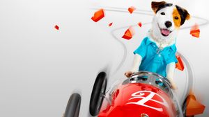 Millionaire Dog's poster