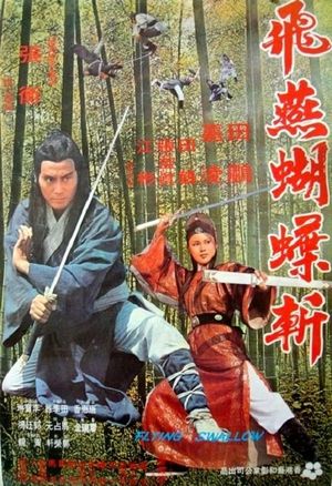 Fei yan hu die zhan's poster