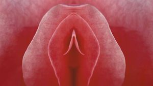 Mon nom est clitoris's poster