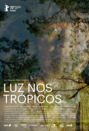 Light in the Tropics's poster