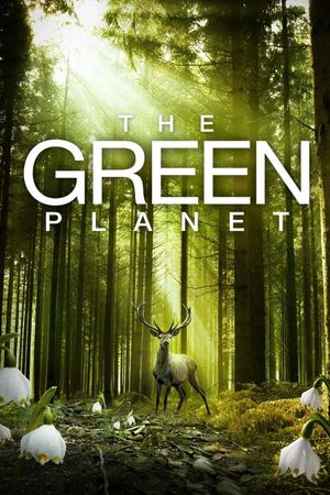 The Green Planet's poster