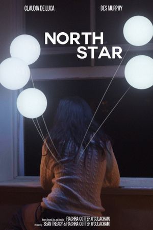 North Star's poster