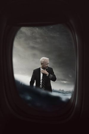 Sully's poster