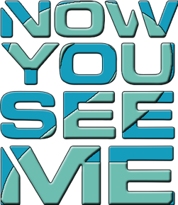 Now You See Me 2's poster