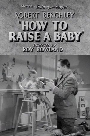 How to Raise a Baby's poster