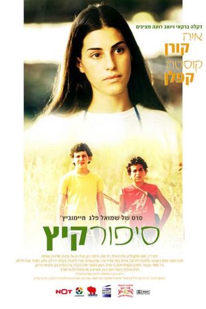 Summer Story's poster