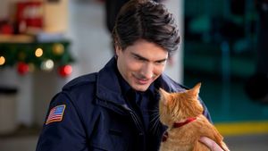 The Nine Kittens of Christmas's poster