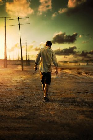 The Rover's poster